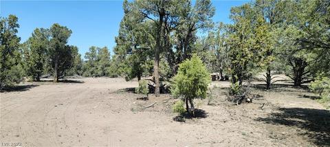 Lomprey Ln, Pioche, NV 89043 photo 2
