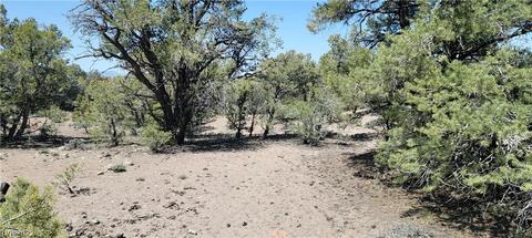 Lomprey Ln, Pioche, NV 89043 photo 12