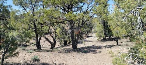 Lomprey Ln, Pioche, NV 89043 photo 7