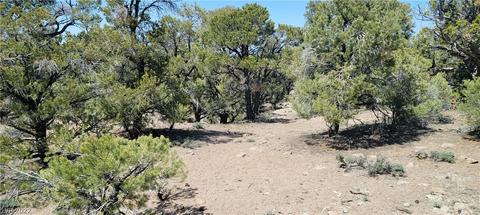 Lomprey Ln, Pioche, NV 89043 photo 8