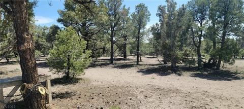 Lomprey Ln, Pioche, NV 89043 photo 14