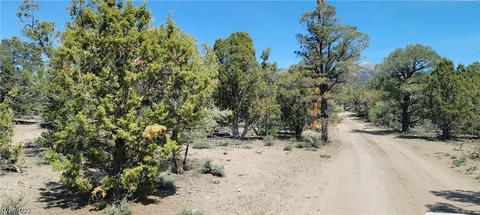 Lomprey Ln, Pioche, NV 89043