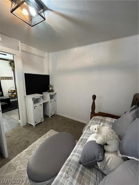 567 Parker Ave, Ely, NV 89301 photo 20