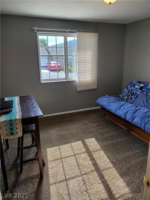 205 Jv Walker, Ely, NV 89301 photo 11
