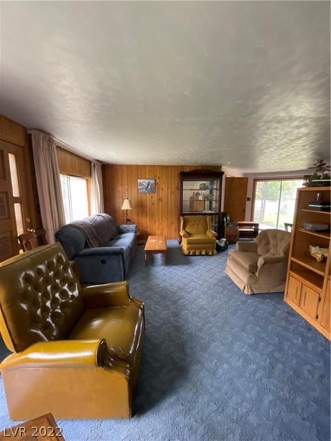 1184 Mill St, Ely, NV 89301 photo 9
