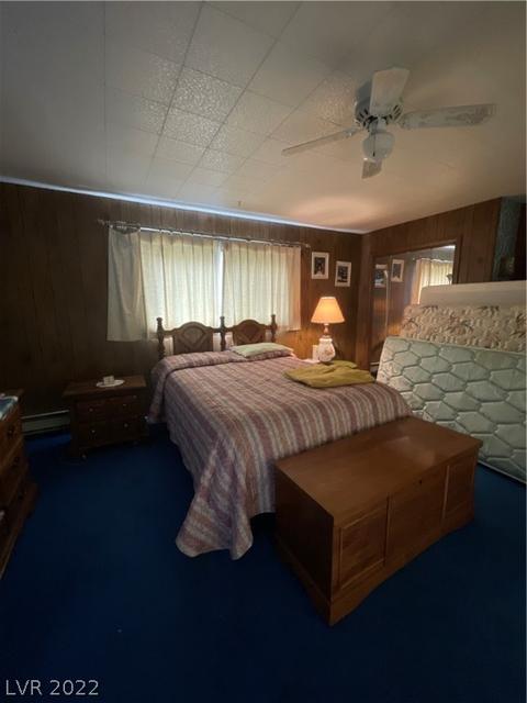 1184 Mill St, Ely, NV 89301 photo 6