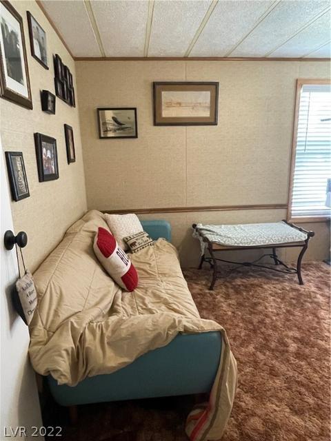 621 Parker Ave, Ely, NV 89301 photo 25