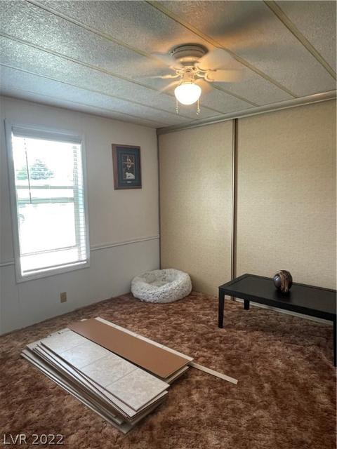 621 Parker Ave, Ely, NV 89301 photo 30