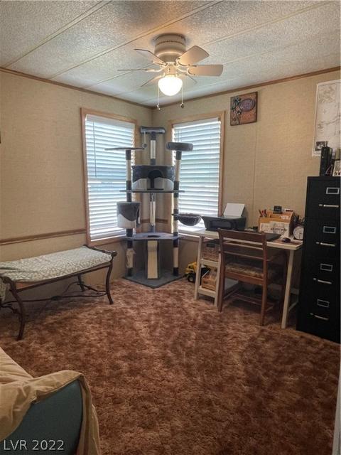 621 Parker Ave, Ely, NV 89301 photo 24