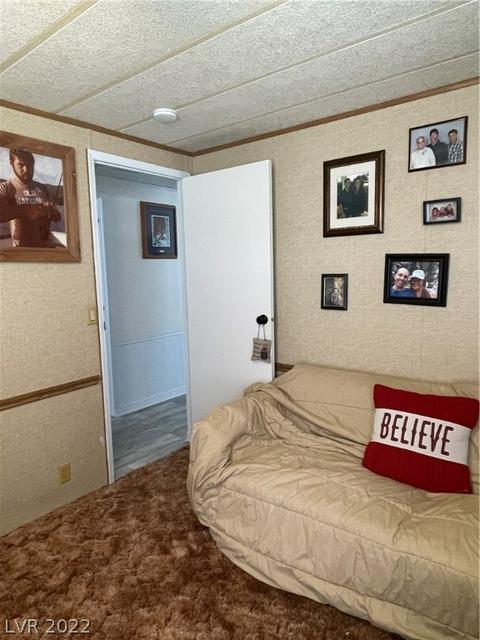 621 Parker Ave, Ely, NV 89301 photo 27