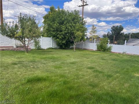 745 Avenue L, Ely, NV 89301 photo 32