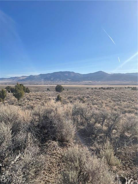 591 E 295th South St, Ely, NV 89301 photo 12