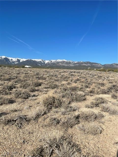 591 E 295th South St, Ely, NV 89301 photo 10