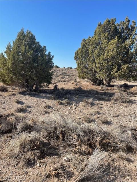 591 E 295th South St, Ely, NV 89301