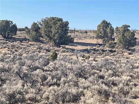 591 E 295th South St, Ely, NV 89301 photo 3