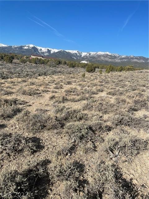 591 E 295th South St, Ely, NV 89301 photo 9