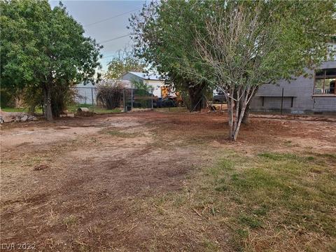399 Bonelli Ave, Overton, NV 89040 photo 31