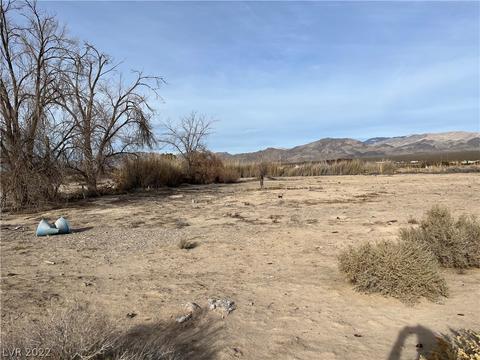 850 Oregon Ave, Sandy Valley, NV 89019