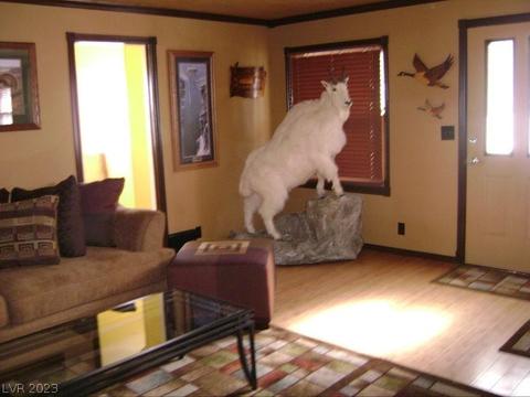 867 Avenue I, Ely, NV 89301 photo 4