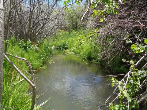 Cove Road, Ely, NV 89301
