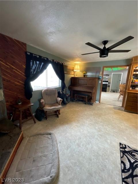 342 Nevada Ave, Ely, NV 89301 photo 10