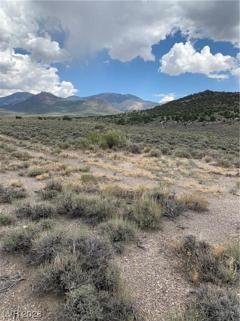Mattier Creek, Ely, NV 89301 photo 4