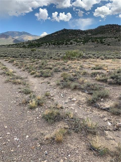 Mattier Creek, Ely, NV 89301 photo 3
