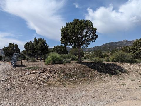Blue Spruce, Pioche, NV 89043