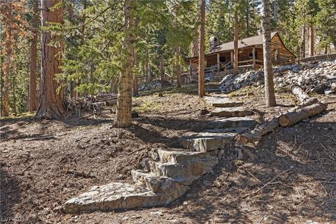 585 Snow Fall Trl, Mount Charleston, NV 89124