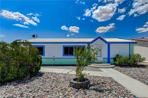 745 Lillian Condie Rd, Overton, NV 89040