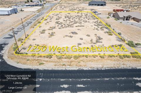 1250 W Gamebird Rd, Pahrump, NV 89048