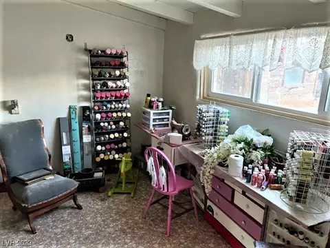 515 Billy Wright Rd, Dyer, NV 89010 photo 11