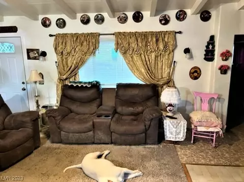 515 Billy Wright Rd, Dyer, NV 89010 photo 7