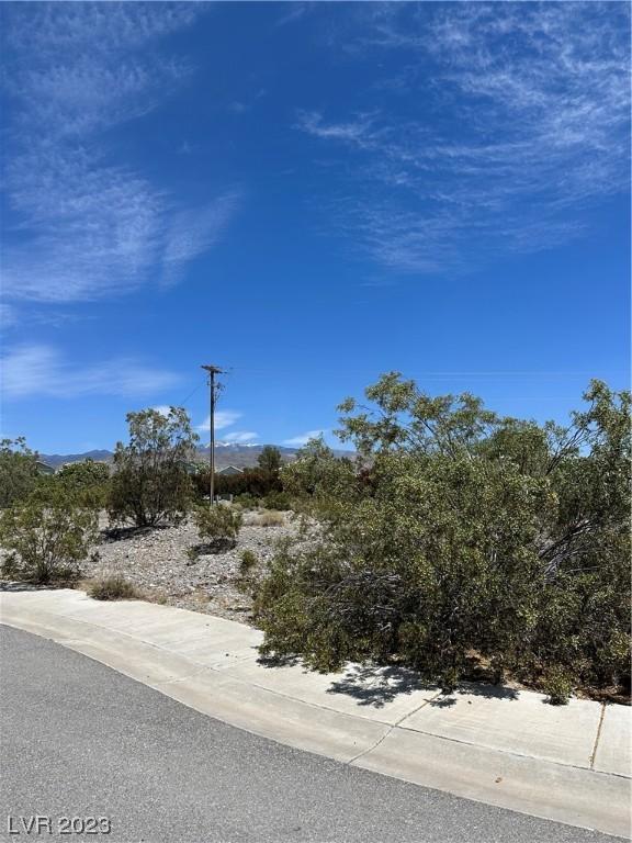  1781 S Vineyard Dr, Pahrump, NV 89048 photo 2