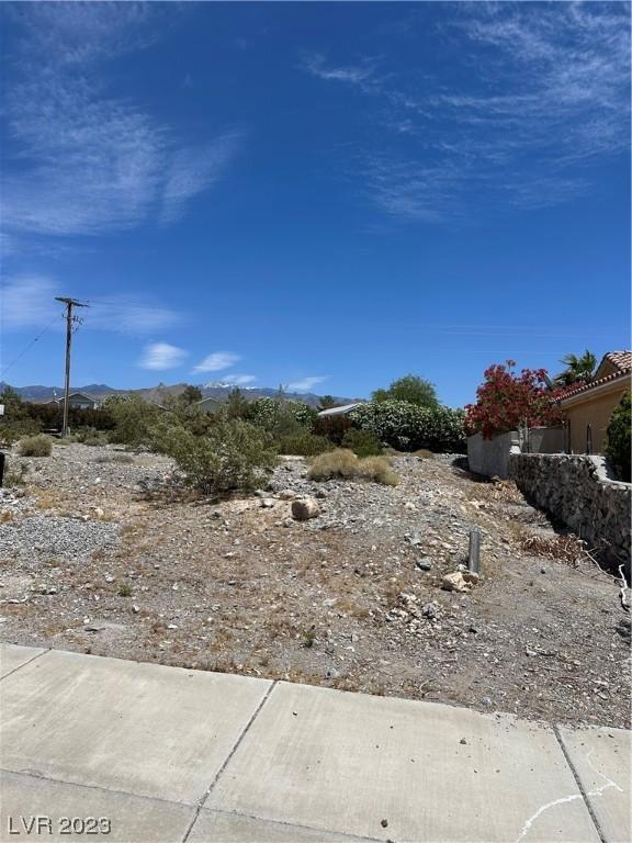  1781 S Vineyard Dr, Pahrump, NV 89048 photo 3