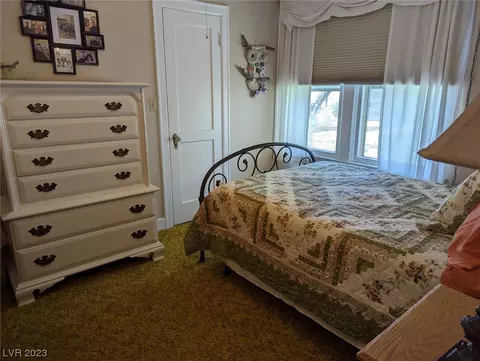 175 Comstock St, Pioche, NV 89043 photo 29