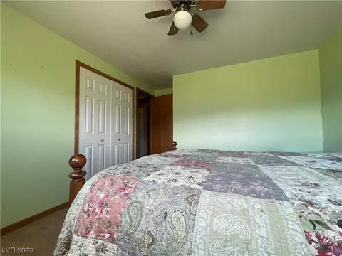 206 Grant Ave, Ely, NV 89301 photo 18