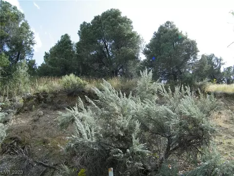 418 Dickerson Ave, Ely, NV 89301 photo 12