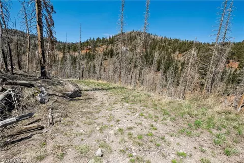 270 W Bobcat, Brian Head, UT 84719 photo 24