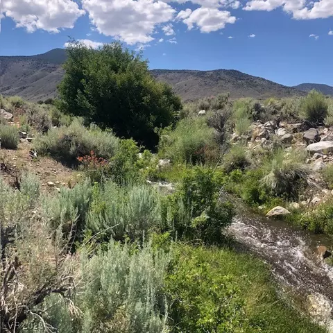 131 Wild Horse Run # D, Dyer, NV 89010