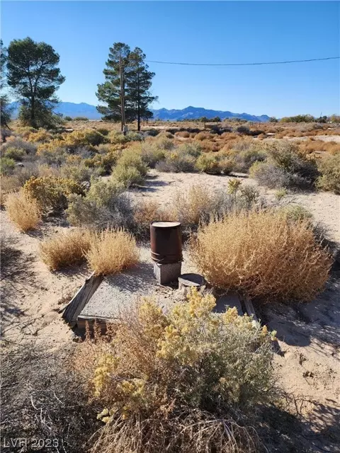 Elko, Sandy Valley, NV 89019 photo 20