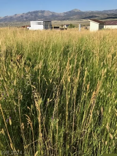 Other - 719 E 308th South St, Ely, NV 89301 photo 17 of 19