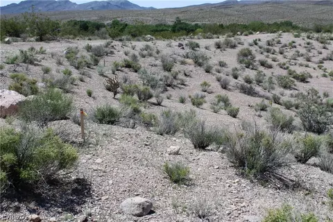 Buckhorn, Alamo, NV 89001