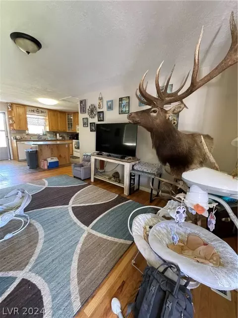 Other - 41 Carson, Ely, NV 89301 photo 3 of 5