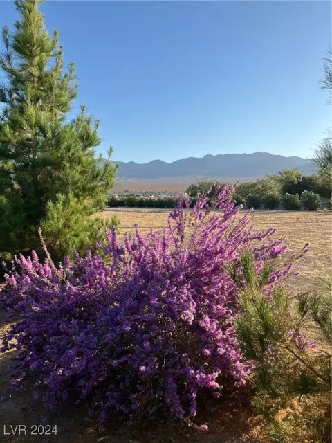 391 Steven Ave, Pahrump, NV 89060