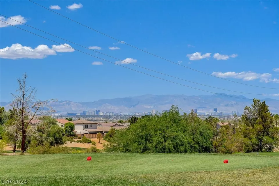 Other - 1011 Via Calderia Pl, Henderson, NV 89011 photo 20 of 32