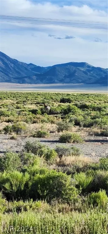 2 Egn Cyn, Ely, NV 89301
