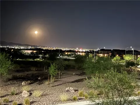Other - 916 E Sunset Rd, Henderson, NV 89011 photo 13 of 13
