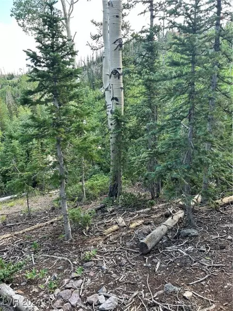 533 E 275 N, Brian Head, UT 84719 photo 3