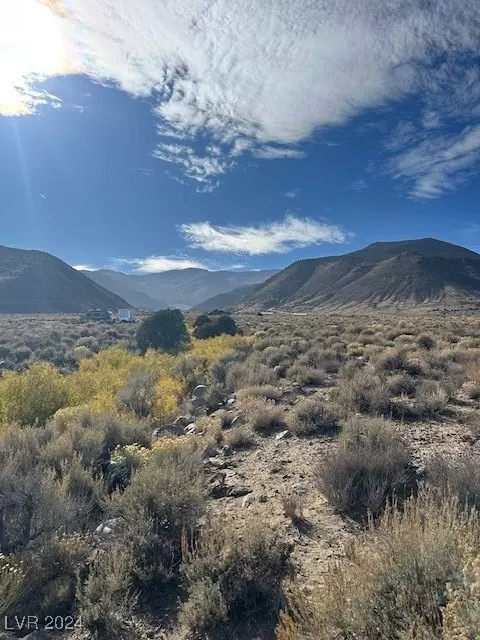 1230 Mustang Aly, Dyer, NV 89010